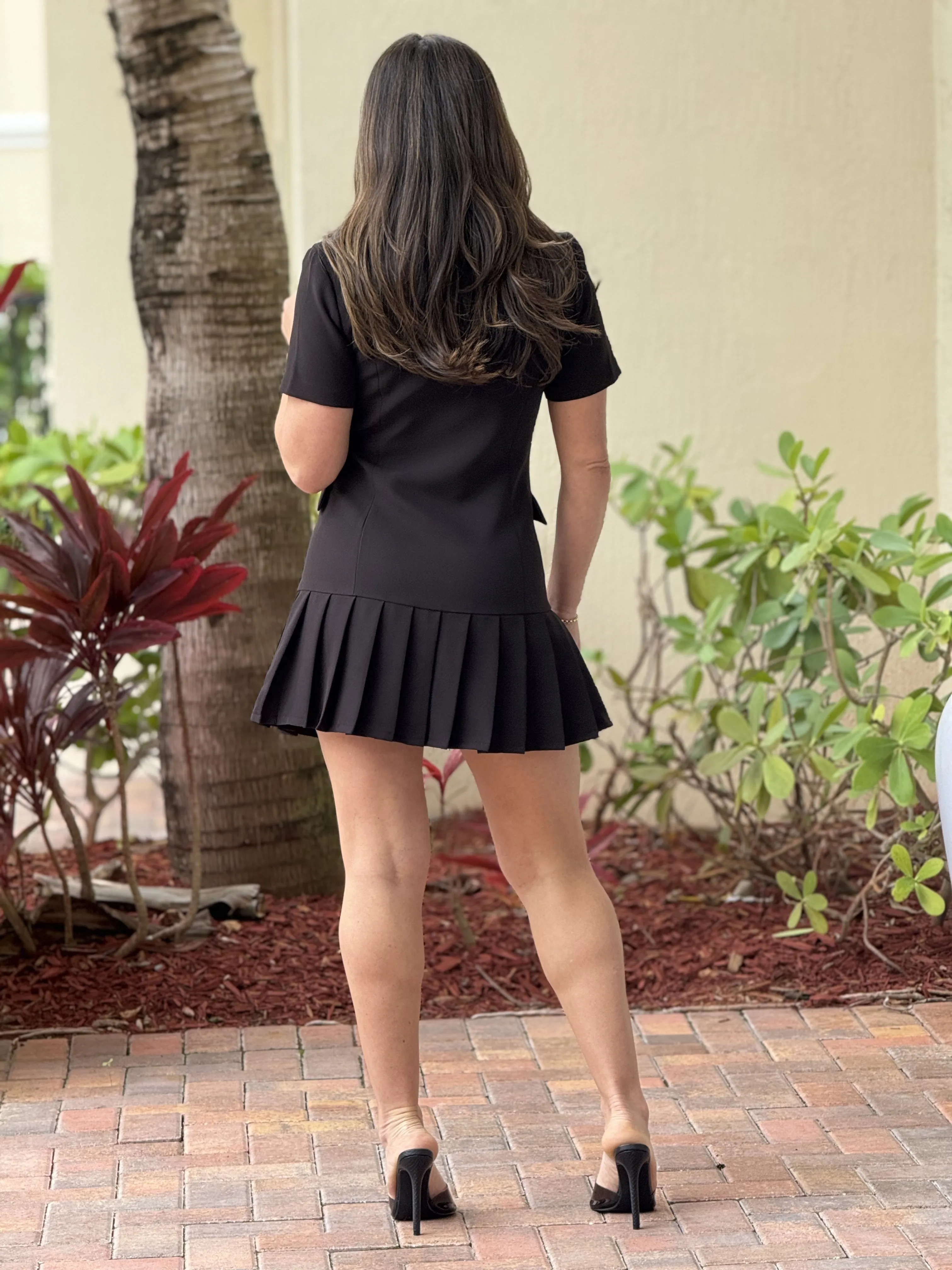"Nayda" Short Sleeve Woven Tailored Dress With Pleated Skirt