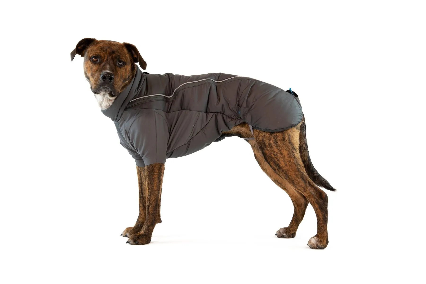 Ruffwear Furness Jacket -  ultrawarm Dog jacket with free Beacon