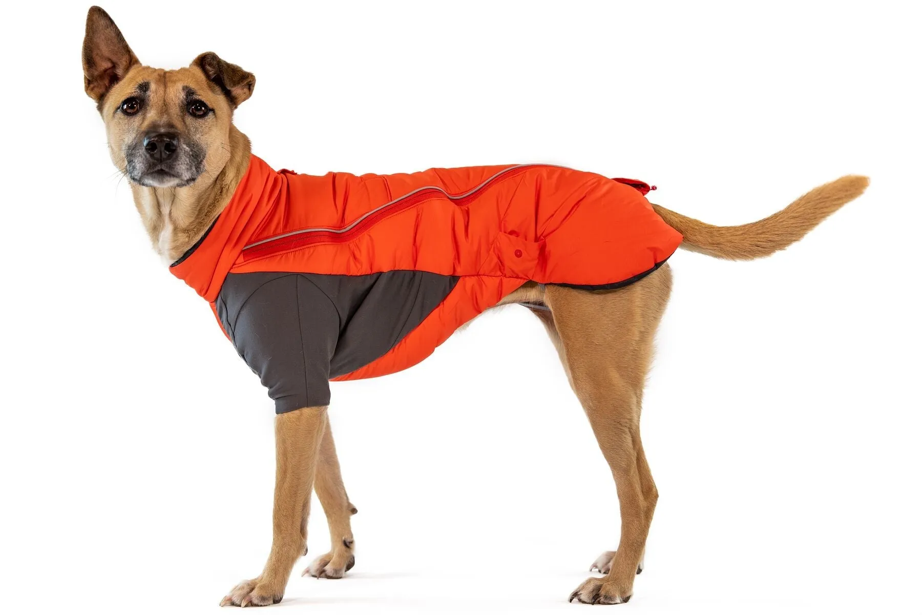 Ruffwear Furness Jacket -  ultrawarm Dog jacket with free Beacon